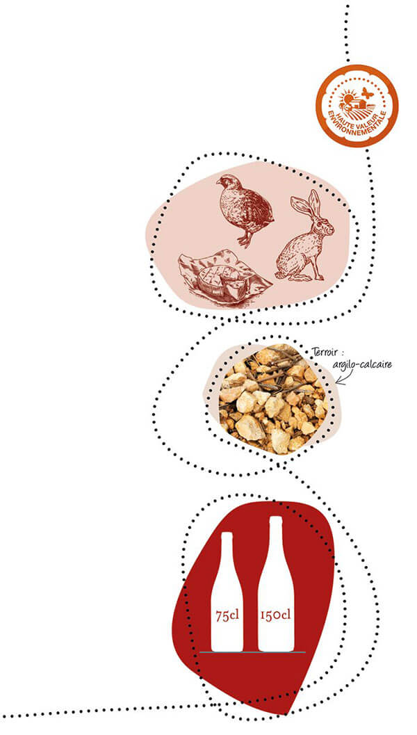 Illustration Les terrasses de Fontenilles AOP Saint-Chinian Rouge