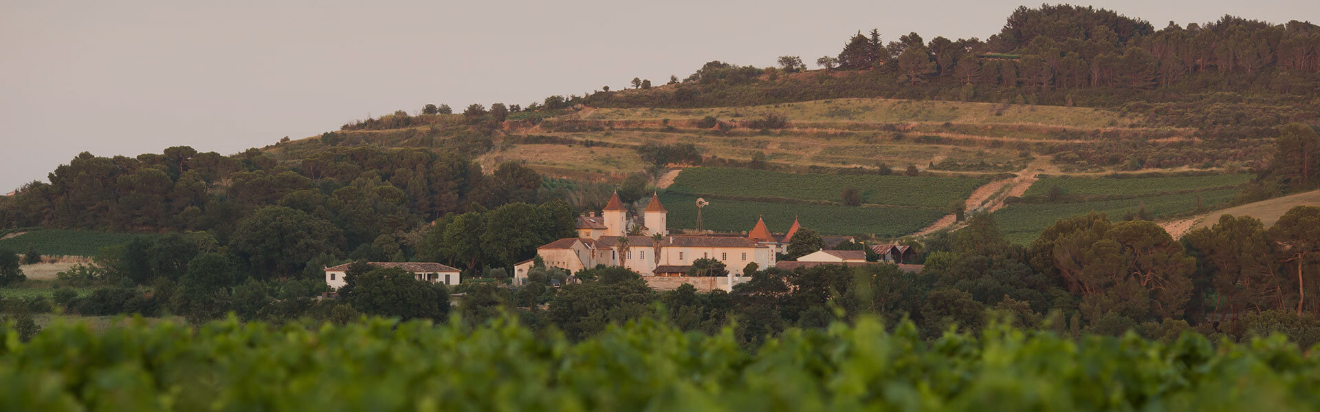Vue sur le Domaine viticole le château Saint Martin des Champs