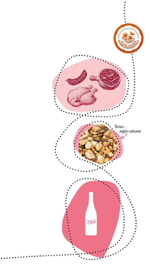 PGI Pays d'Oc red Syrah Confidentiel Illustration