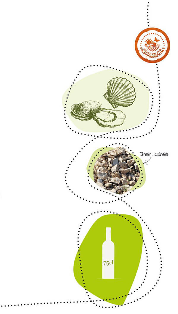 PGI Pays d'Oc white Viognier Confidentiel Illustration